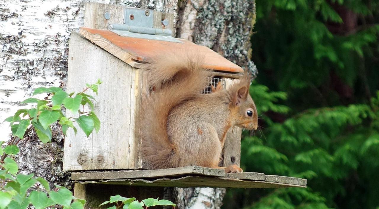 Bunroy Park Villa Fort William Bagian luar foto
